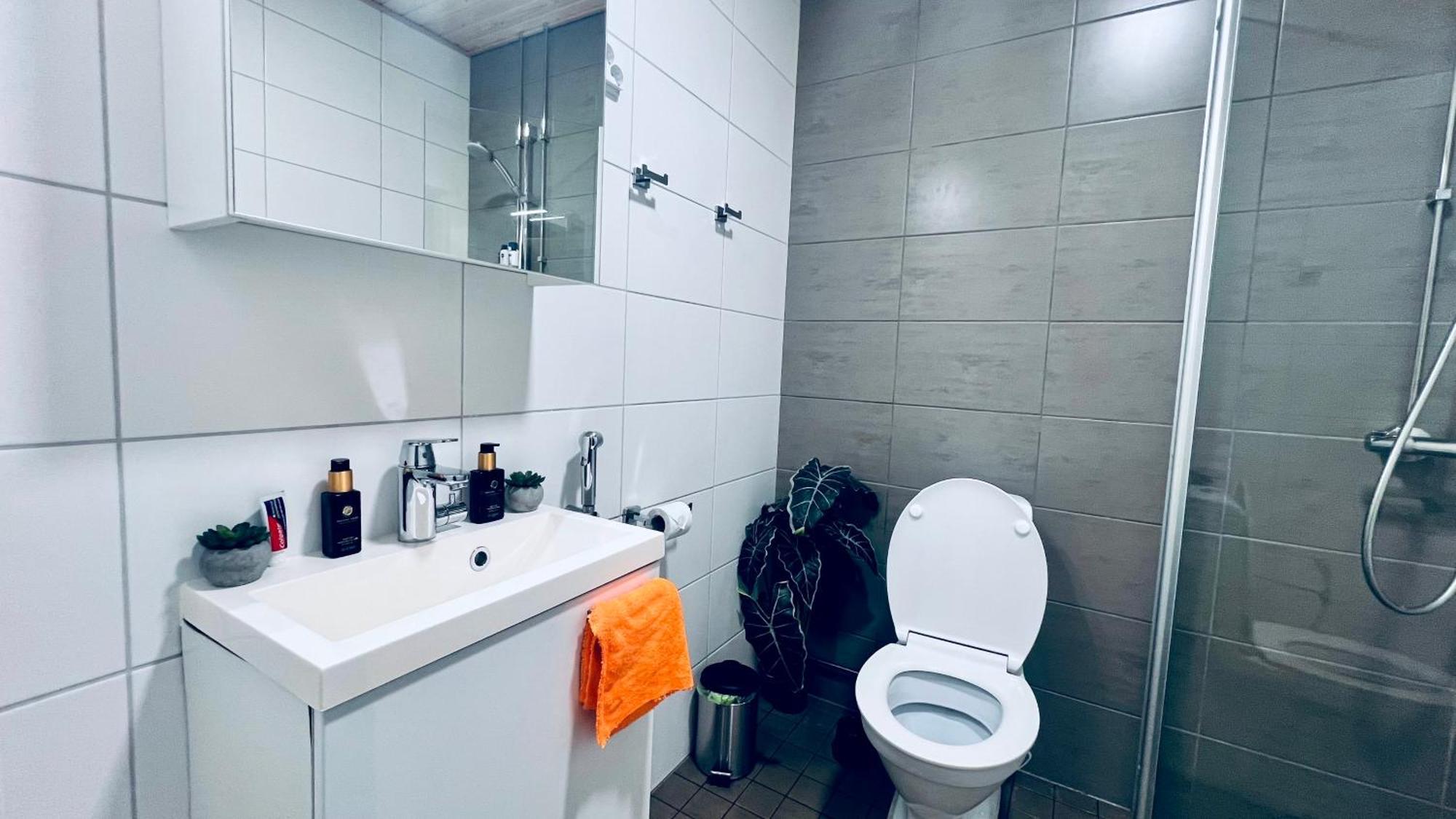 Apartment Cozy 6 Mins By Train To Airport Vantaa